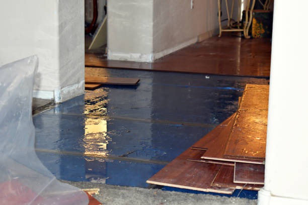 Professional Basement Flood Cleanup technician working in Redding, CT